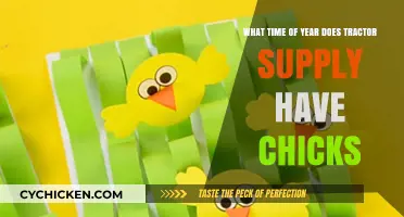 Tractor Supply Chick Days: When to Get Your Spring Chicks