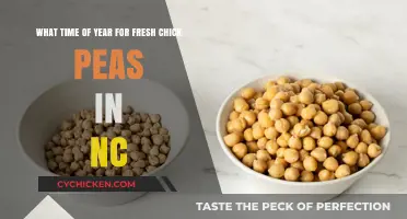 Spring Harvest: Fresh Chickpeas in North Carolina