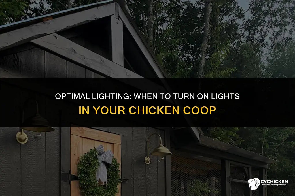 what time to turn on lights in chicken coop