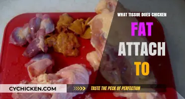 Understanding Chicken Fat: Which Tissues Does It Naturally Adhere To?