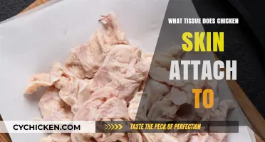 Understanding Chicken Skin Attachment: The Tissue Connection Explained