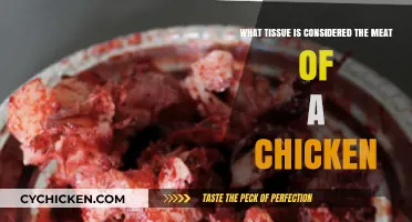 Tasty Chicken Meat: Which Part is Best?