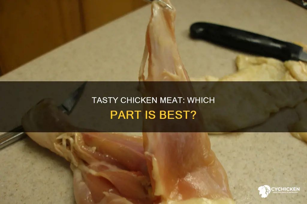 what tissue is considered the meat of a chicken