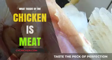 Understanding Chicken Anatomy: Which Tissues Are Considered Meat?