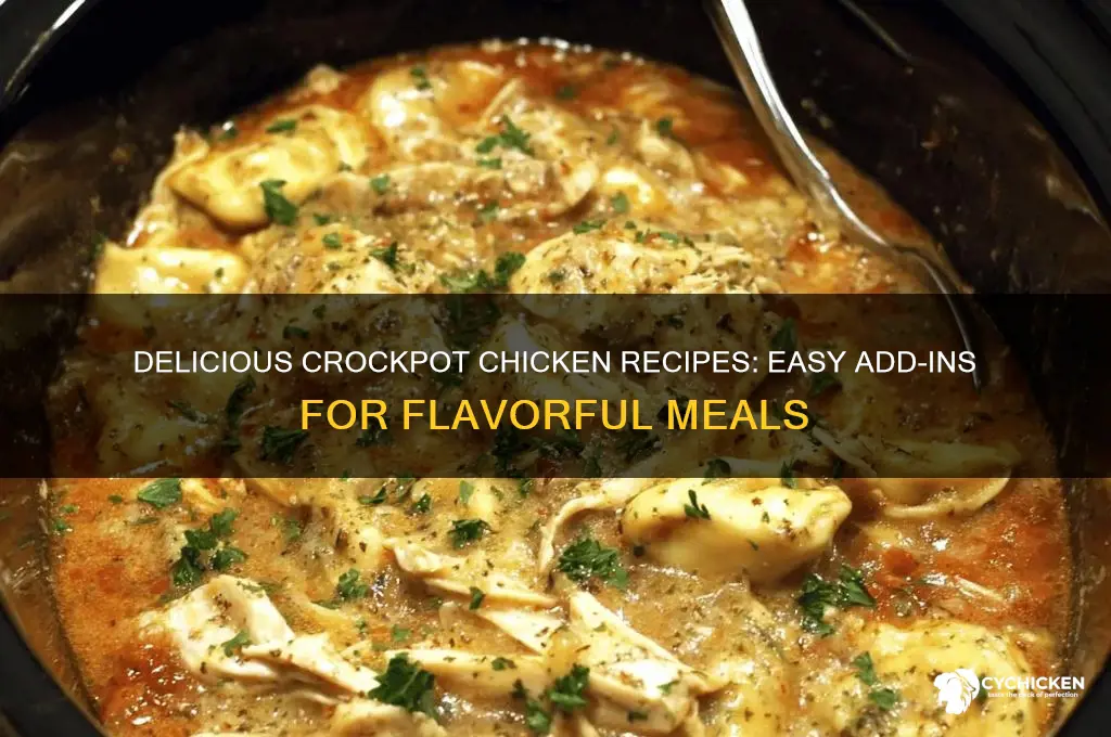 what to add in crockpot with chicken
