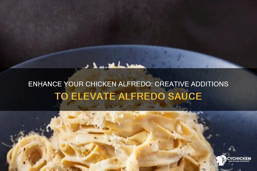 what to add to alfredodo sauce for chicken alfredo