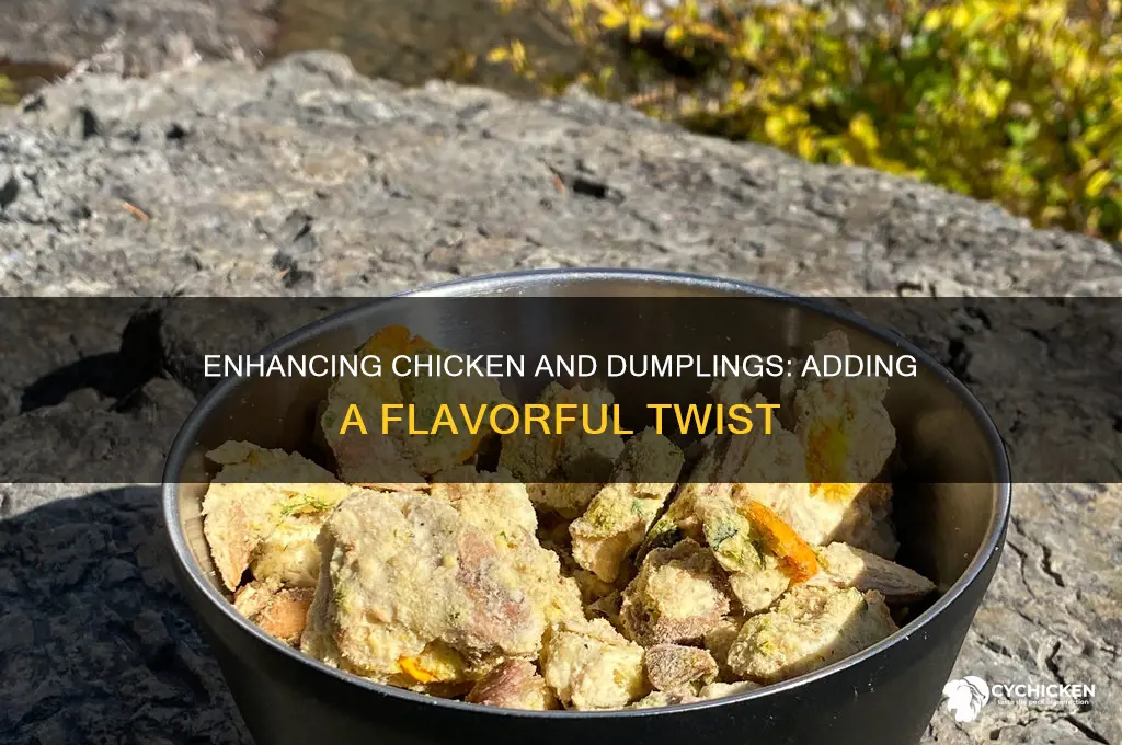 what to add to chicken and dumplings for more flavor