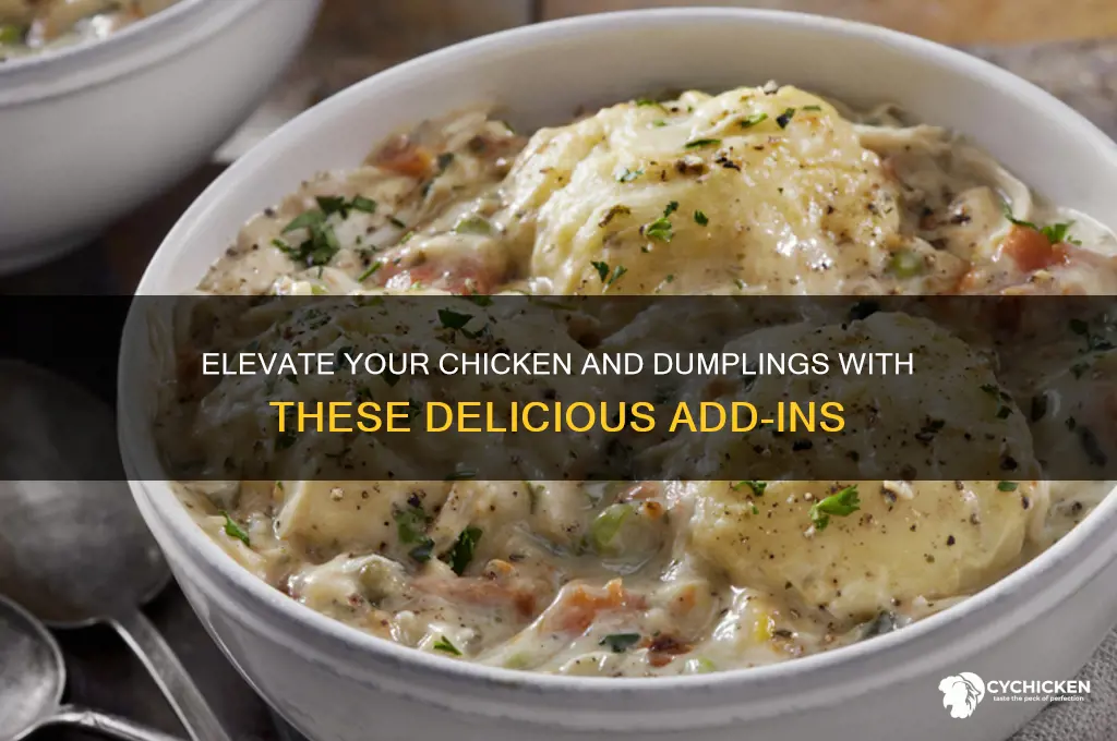 what to add to chicken and dumplings