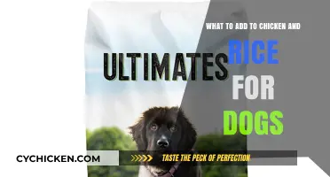 Chicken & Rice for Dogs: Adding Nutritional Powerhouses