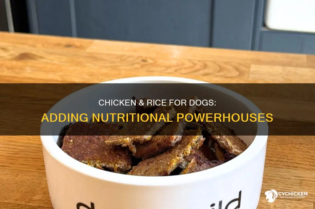 what to add to chicken and rice for dogs