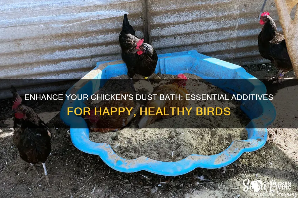 what to add to chicken dust bath