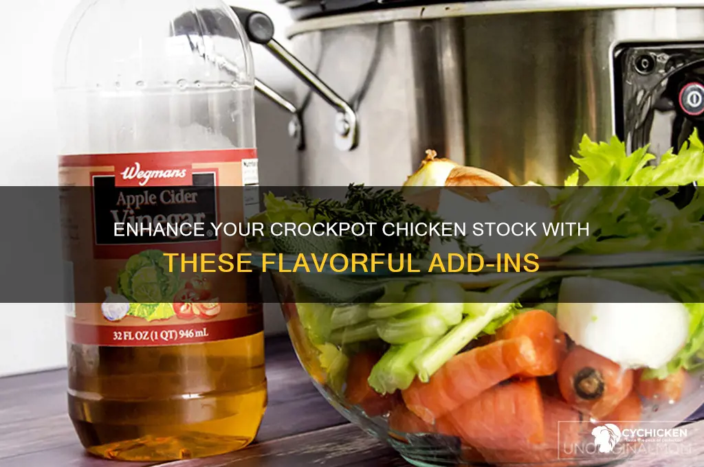 what to add to chicken stock in crockpot