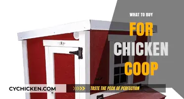 Essential Chicken Coop Supplies: A Beginner’s Guide to Smart Purchases
