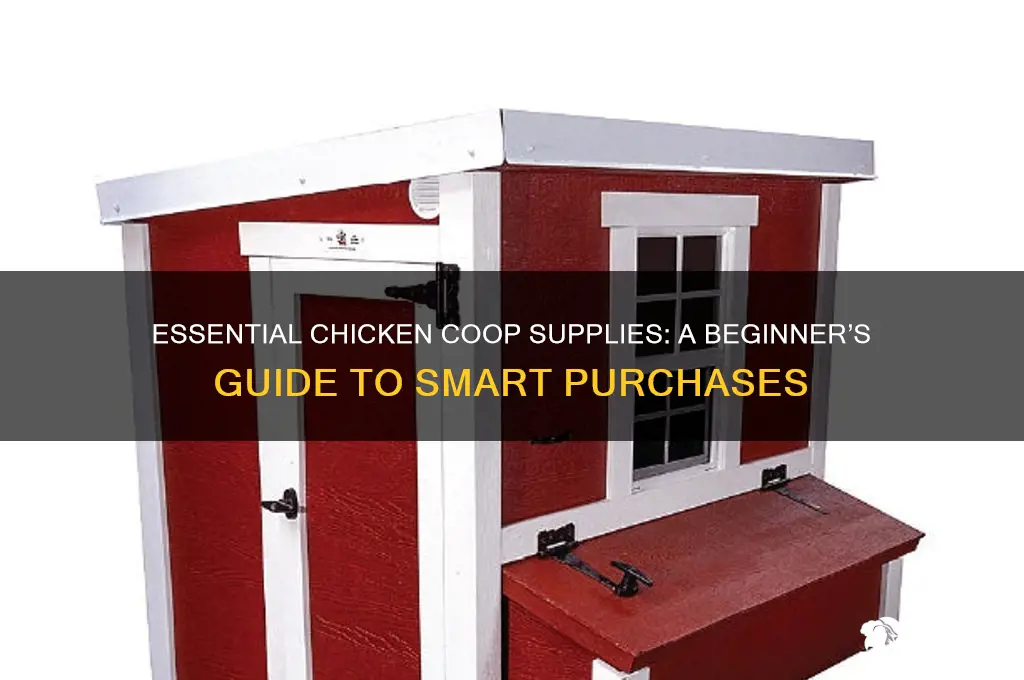 what to buy for chicken coop