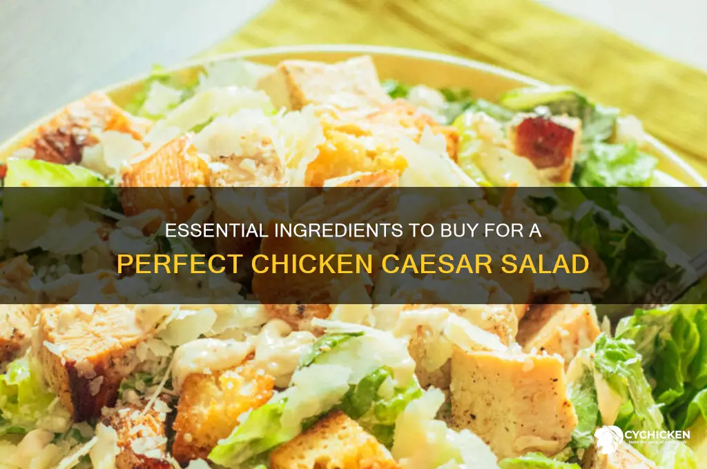 what to buy to make chicken caesar salad
