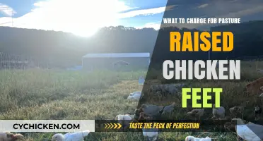 Pricing Pasture-Raised Chicken Feet: A Guide to Fair Market Rates