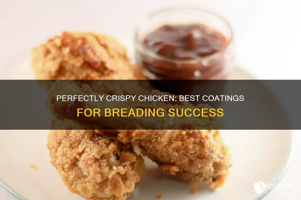 what to coat chicken in before breading