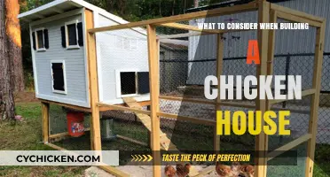 Essential Tips for Designing a Functional and Safe Chicken House