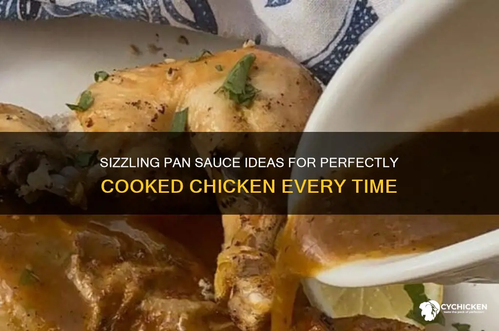 what to cook chicken ina pan sauce