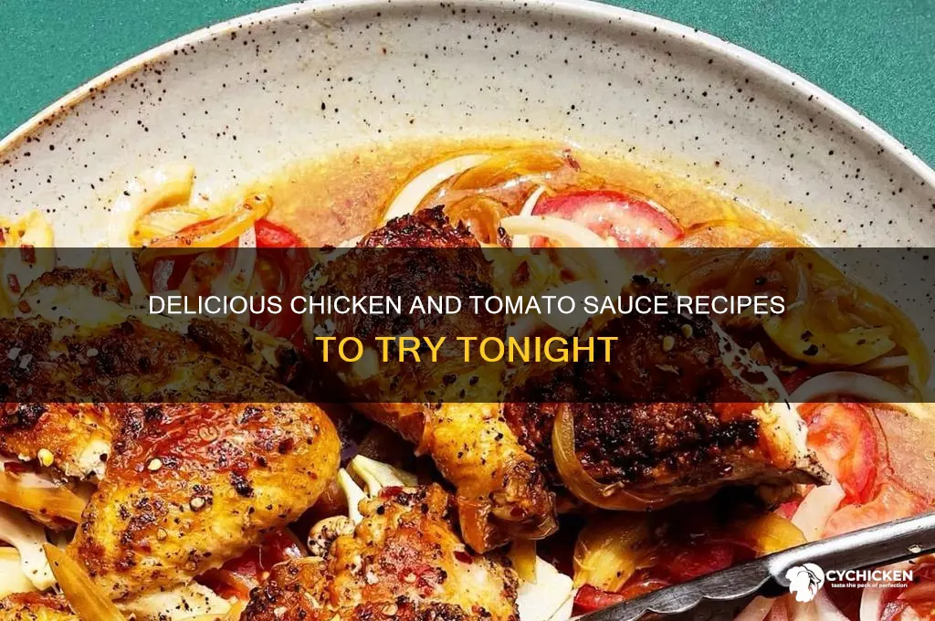 what to cook with chicken and tomato sauce