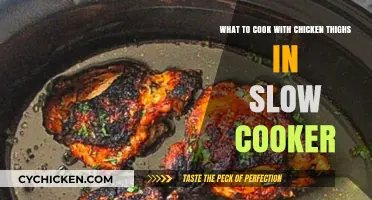 Slow Cooker Chicken Thigh Recipes: Easy, Juicy, and Flavorful Meals