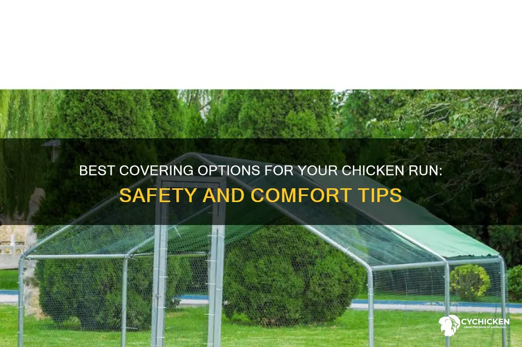 what to cover a chicken run with