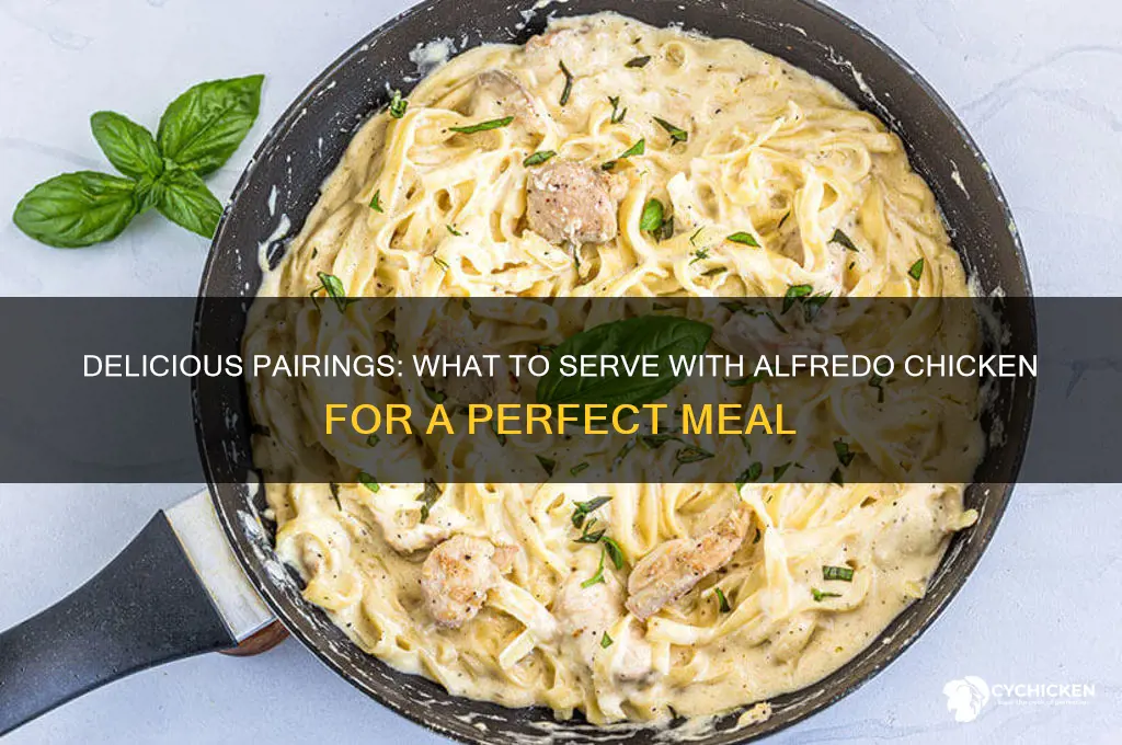 what to dead on alfredo chicken with