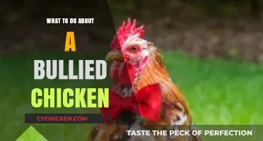 Protecting Your Flock: Effective Strategies to Stop Chicken Bullying