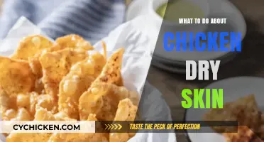 How to Fix Dry Chicken Skin: Tips for Juicy, Tender Meat