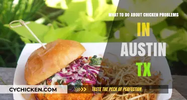 Solving Chicken Problems in Austin, Texas: A Guide