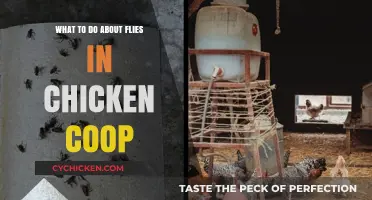 Effective Strategies to Keep Flies Away from Your Chicken Coop