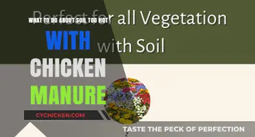 Cooling Chicken Manure's Heat: Soil Solutions