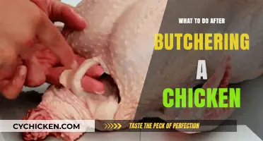 Post-Butchering Chicken Care: Essential Steps for Cleanliness and Preservation