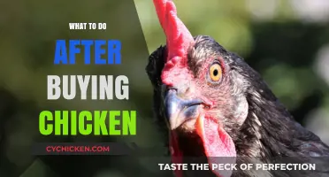 Fresh Chicken Essentials: Handling, Storing, and Prepping Tips for Beginners