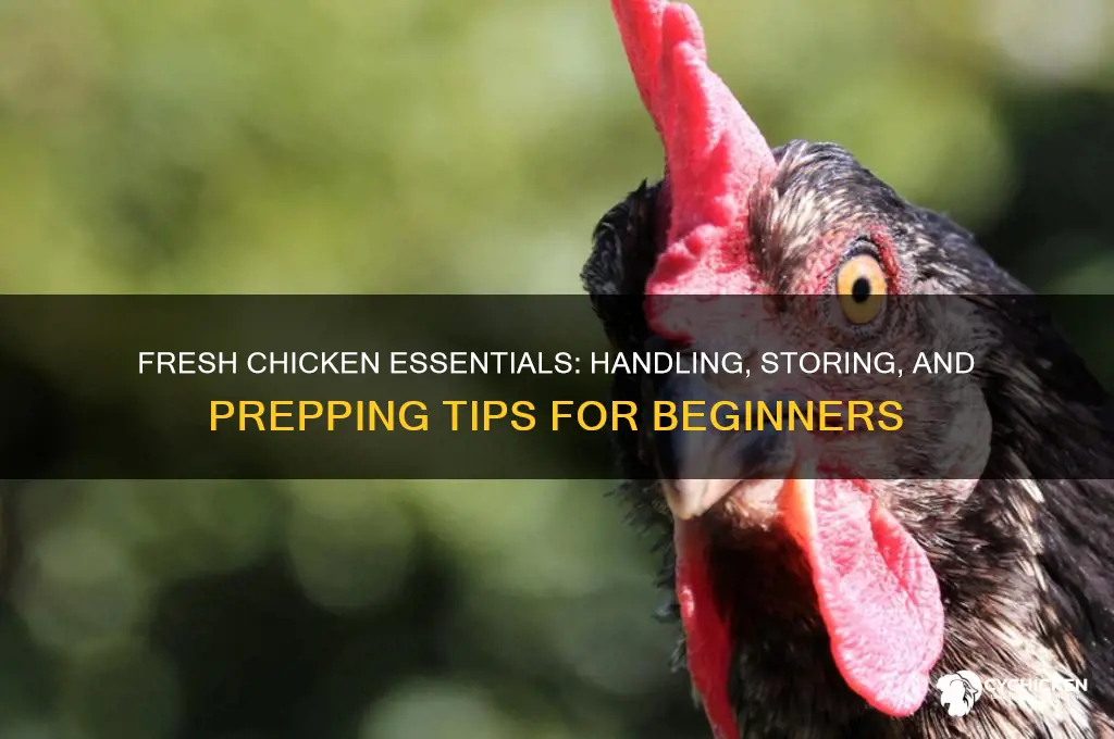 what to do after buying chicken