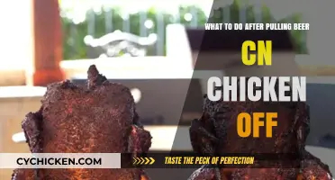 Easy Chicken Dinner: What to Do with Leftover Beer Can Chicken