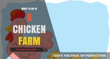 Exploring Chicken Farm Activities: A Guide to Fun and Learning