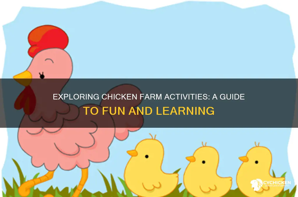 what to do at a chicken farm