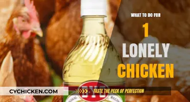 One Lonely Chicken: Creative Ways to Care and Engage Your Solo Bird