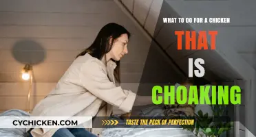 Saving Your Choking Chicken: Quick Action Guide