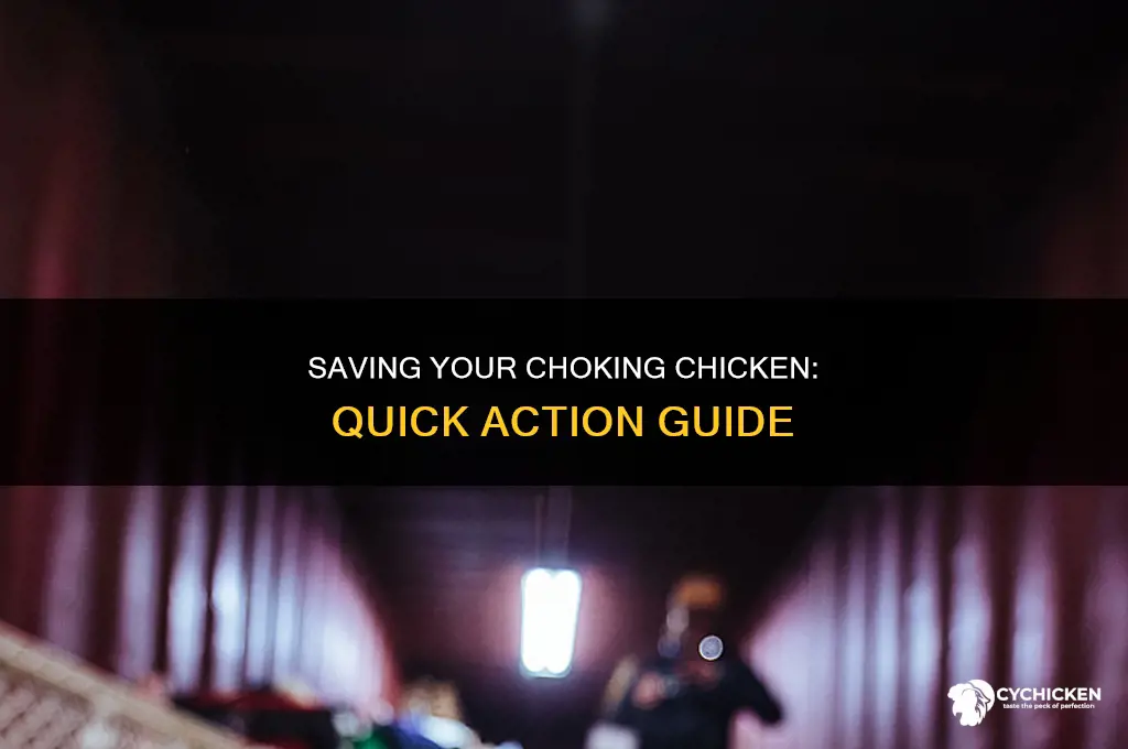 what to do for a chicken that is choaking