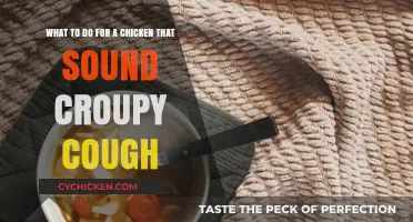 Treating a Chicken's Croupy Cough: Quick Guide