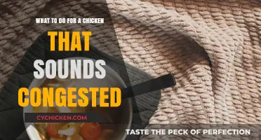 Relieve Your Congested Chicken's Symptoms with These Tips