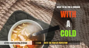 Caring for Your Cold-Stricken Chicken