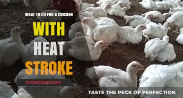 Cooling Your Chicken: Heat Stroke First Aid