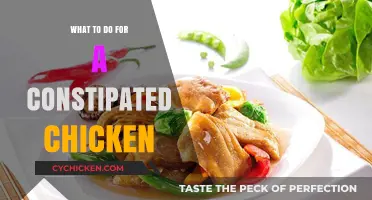 Relieving Constipation in Chickens: Effective Remedies and Care Tips