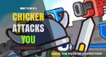 Surviving a Chicken Attack: Quick Tips to Stay Safe and Calm