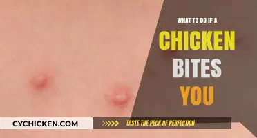 Chicken Bites: Quick Steps to Treat and Prevent Injuries