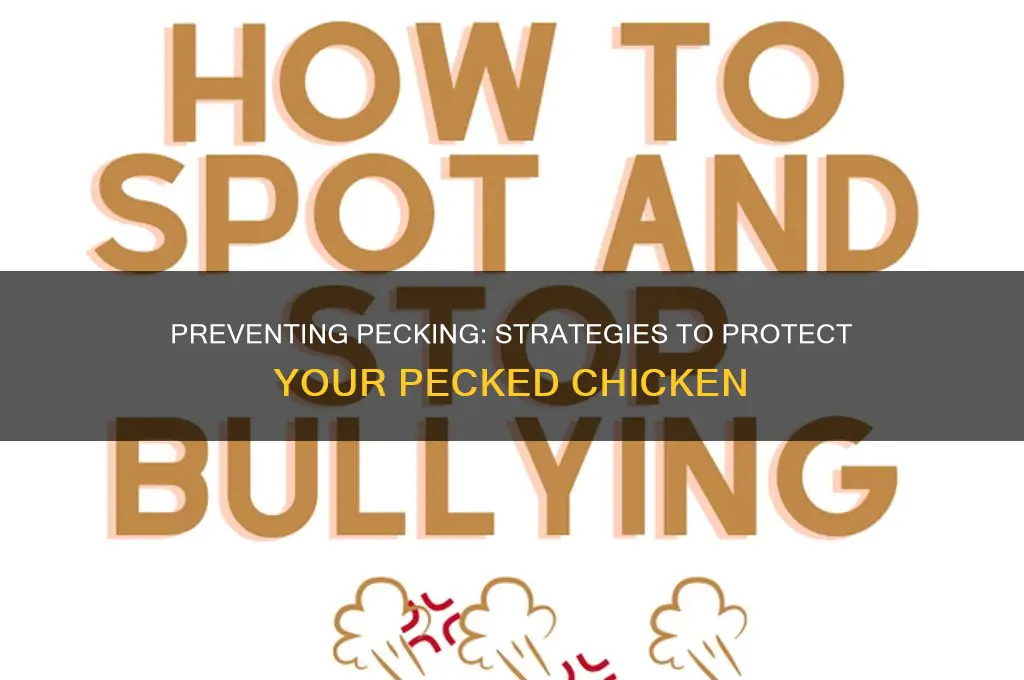 what to do if a chicken is being pecked