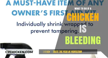 Emergency Care for Bleeding Chickens: Quick Steps to Stop the Flow